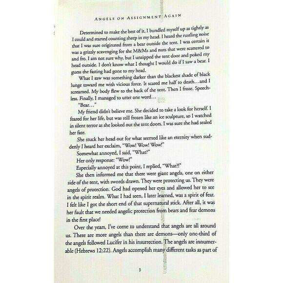 Angels on Assignment Again Gods Real Life Guardians of Saints Christian Book - Picture 8 of 11